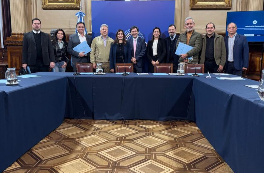 Representantes de Puerto Iguazú reunidos en el Senado por el Puente Tancredo Neves